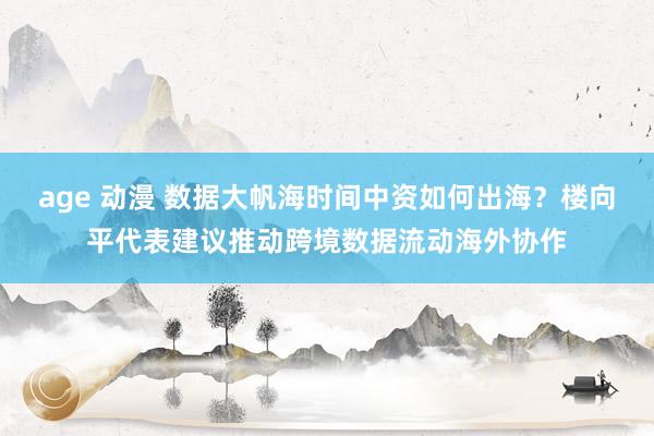 age 动漫 数据大帆海时间中资如何出海？楼向平代表建议推动跨境数据流动海外协作