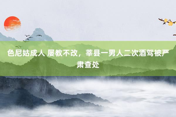 色尼姑成人 屡教不改，莘县一男人二次酒驾被严肃查处