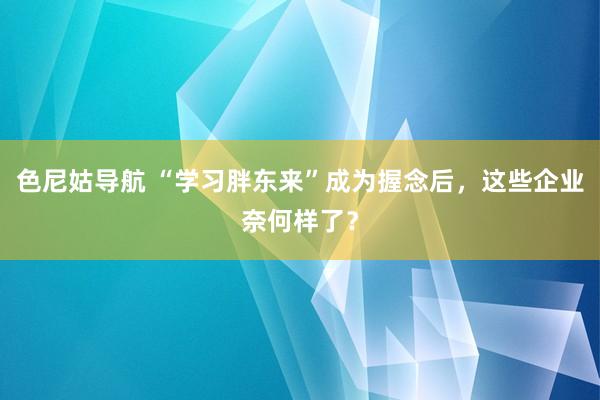 色尼姑导航 “学习胖东来”成为握念后，这些企业奈何样了？
