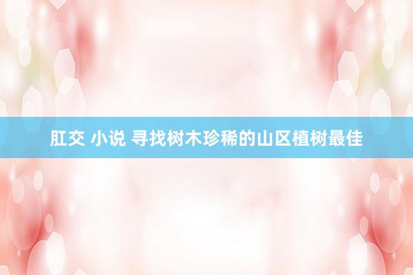 肛交 小说 寻找树木珍稀的山区植树最佳