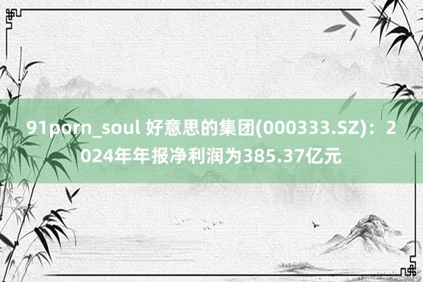91porn_soul 好意思的集团(000333.SZ)：2024年年报净利润为385.37亿元