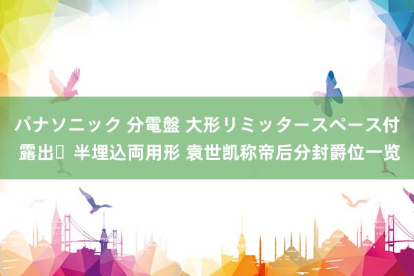 パナソニック 分電盤 大形リミッタースペース付 露出・半埋込両用形 袁世凯称帝后分封爵位一览