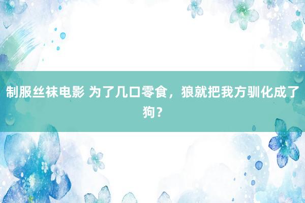 制服丝袜电影 为了几口零食，狼就把我方驯化成了狗？