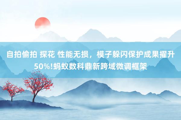 自拍偷拍 探花 性能无损，模子躲闪保护成果擢升50%!蚂蚁数科鼎新跨域微调框架