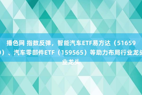 播色网 指数反弹，智能汽车ETF易方达（516590）、汽车零部件ETF（159565）等助力布局行业龙头